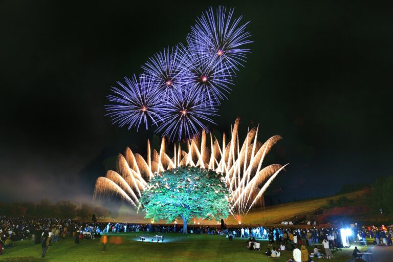 国営越後丘陵公園「長岡花火ハロウィンファンタジー」