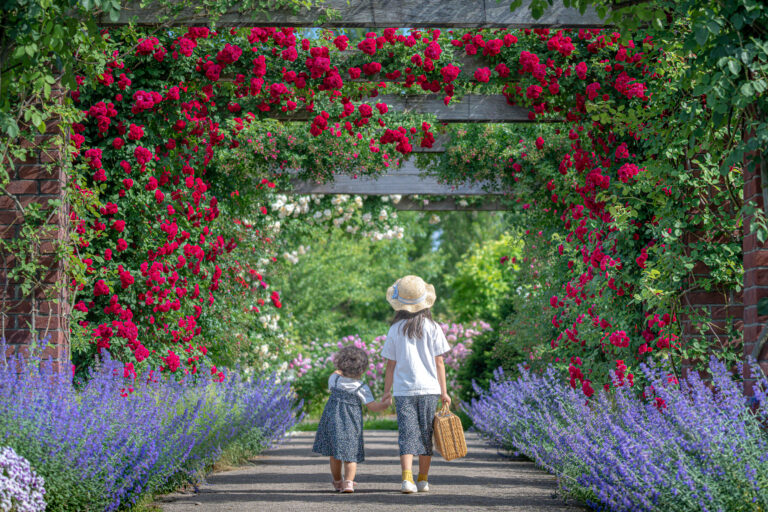 みつけイングリッシュガーデン